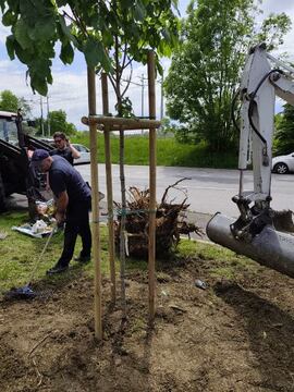 Pri avtobusni postaji (1)